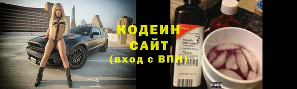 мдпв Осинники