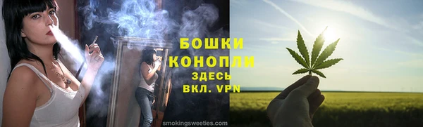 мдпв Осинники