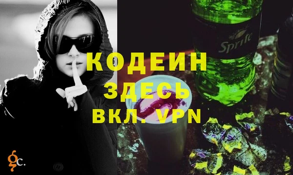 спайс Няндома