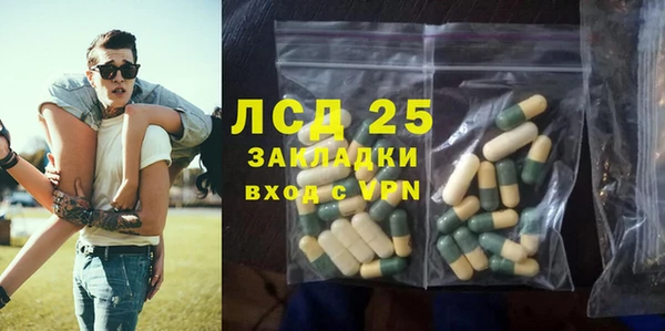 индика Нязепетровск