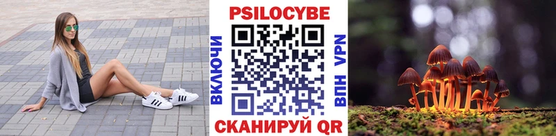 blacksprut ссылки  Очёр  Псилоцибиновые грибы мицелий 